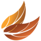 loader image